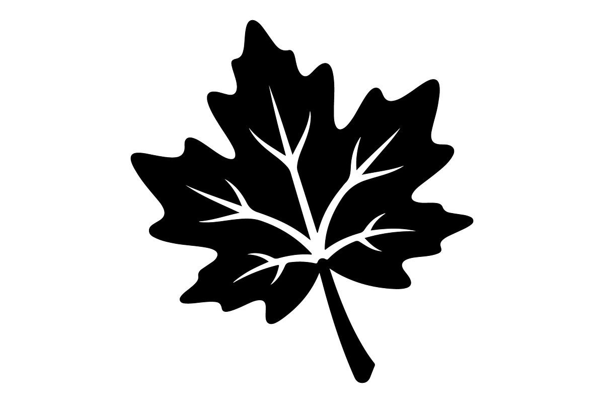 Maple Leaf Acorn Autumn, an Object Graphic by Gfx_Store (Photo 18 of 18)