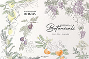 Editorial Botanical Line Art, an Object Illustration by Mio Buono (Thumbnail 11 of 16)