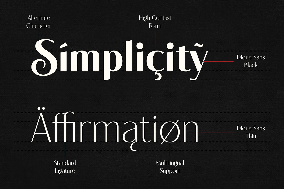 Diona Sans - Font Family, a Sans Serif Font by iqbal habibi (Photo 3 of 11)