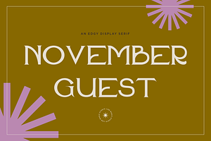 November Guest - An Edgy Serif