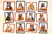 Fall Dogs With Pumpkins Watercolor, an Animal Illustration by Whimsy & Wishes (Thumbnail 4 of 6)