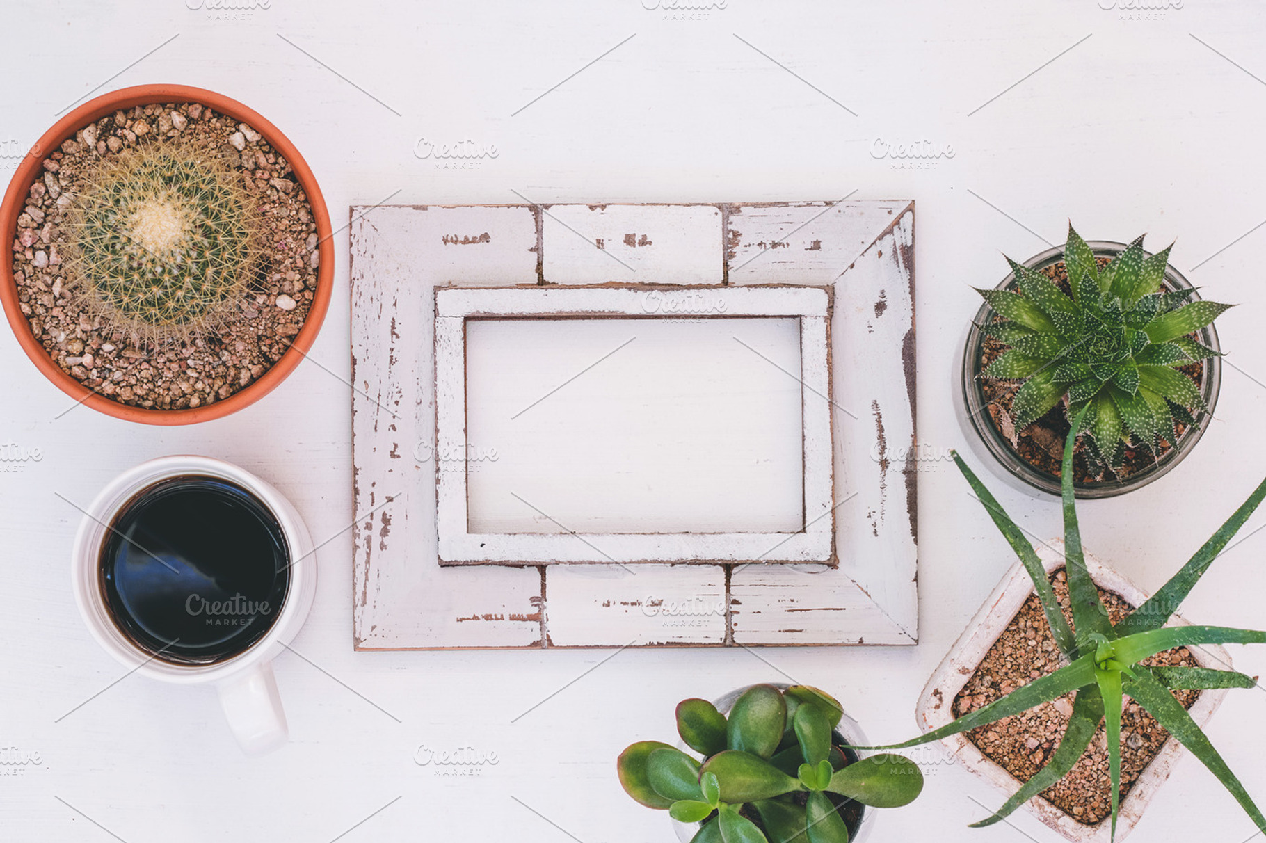 Wooden Frame and Succulents Flatlay, a Business Photo by René Jordaan Photography