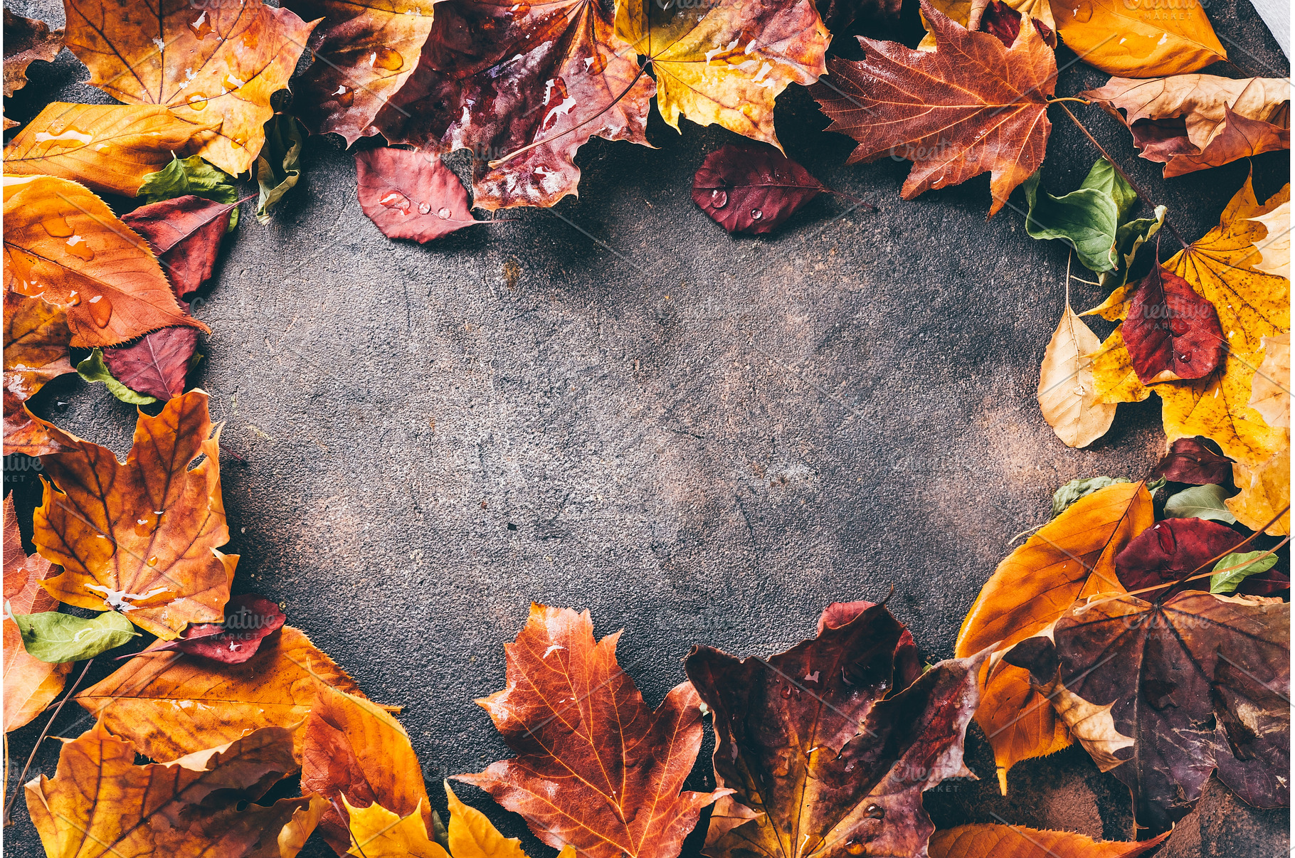 Autumn background with bright orange, a Nature Photo by Yummypic
