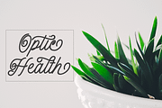 Felicia, a Script Font by jorse (Thumbnail 5 of 7)