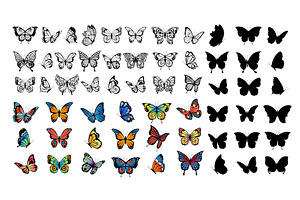 Butterfly Collection. Drawing