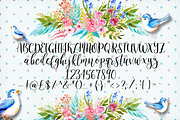 The Slowbird - Typeface, a Script Font by Layerform (Thumbnail 6 of 6)