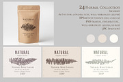 Herbal Design Kit: Vector & PSD, a Templates & Theme by Lumitar (Thumbnail 6 of 8)