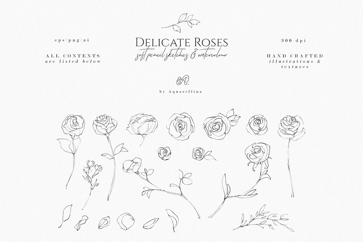 Delicate Roses - Hand Drawn Clipart, a Texture Illustration by Aquarellina (Photo 15 of 15)