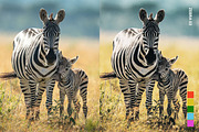 25 Safari Lightroom Presets and LUTs, a Preset Add-On by Hubzway (Thumbnail 14 of 14)