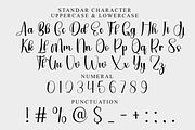 Sunshine Beautiful, a Handwritten Font by InermediaSTUDIO (Thumbnail 4 of 8)