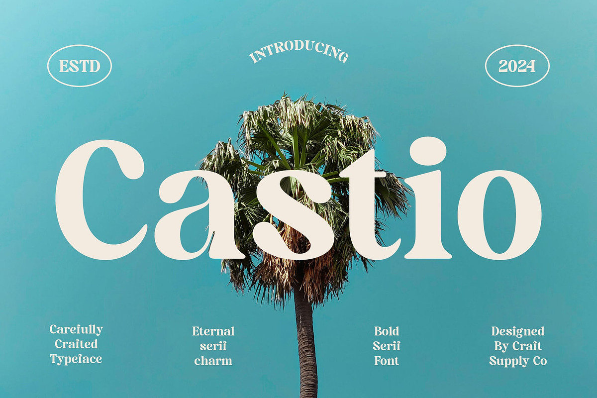 Castio – Bold Font, a Serif Font by Craft Supply Co. (Photo 1 of 8)