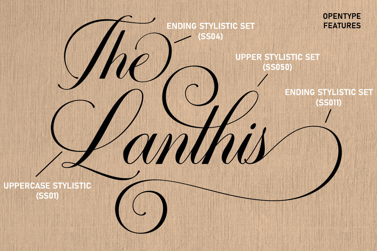 Gervia Font Duo, a Script Font by Lucky Type (Photo 9 of 18)