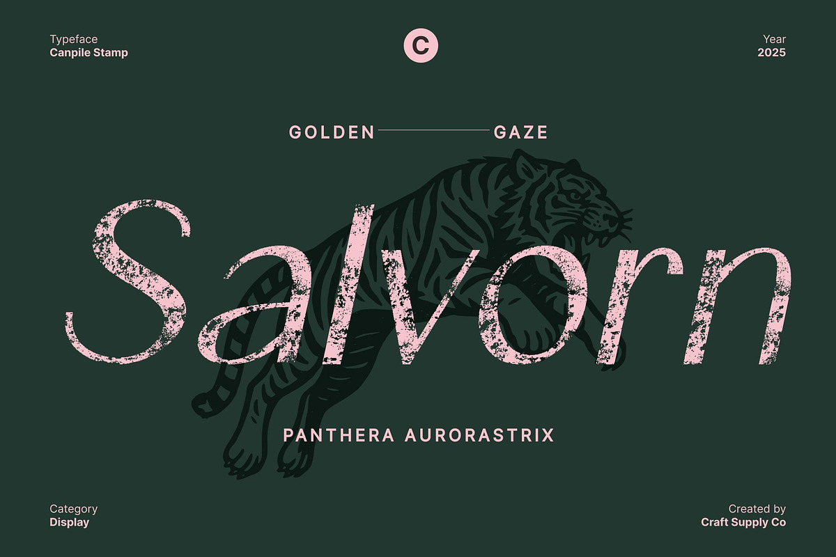 Canpile Stamp, a Sans Serif Font by Craft Supply Co. (Photo 6 of 8)