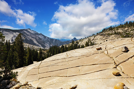 The glade in national park Yosemite, a Background Photo by kavram