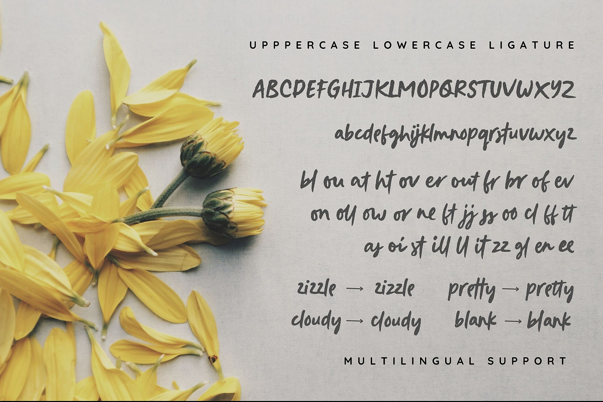 Epic Moment Brush Handwritten, a Script Font by etigletters (Photo 7 of 7)