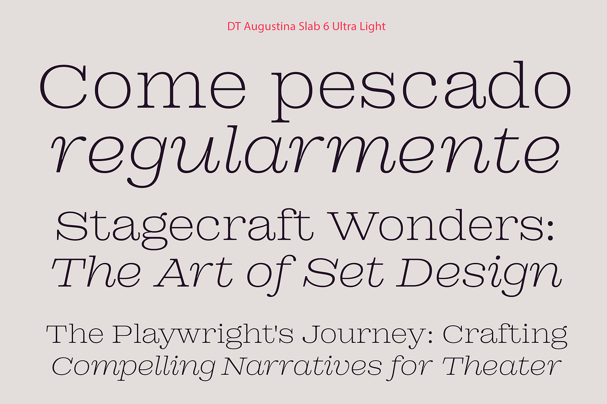 DT Augustina Slab 6 Subfamily, a Slab Serif Font by Deveze Type Foundry (Photo 4 of 30)