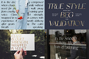 Stylish Serif - 6 Font Bundle, a Serif Font by Brand Earth (Thumbnail 5 of 8)
