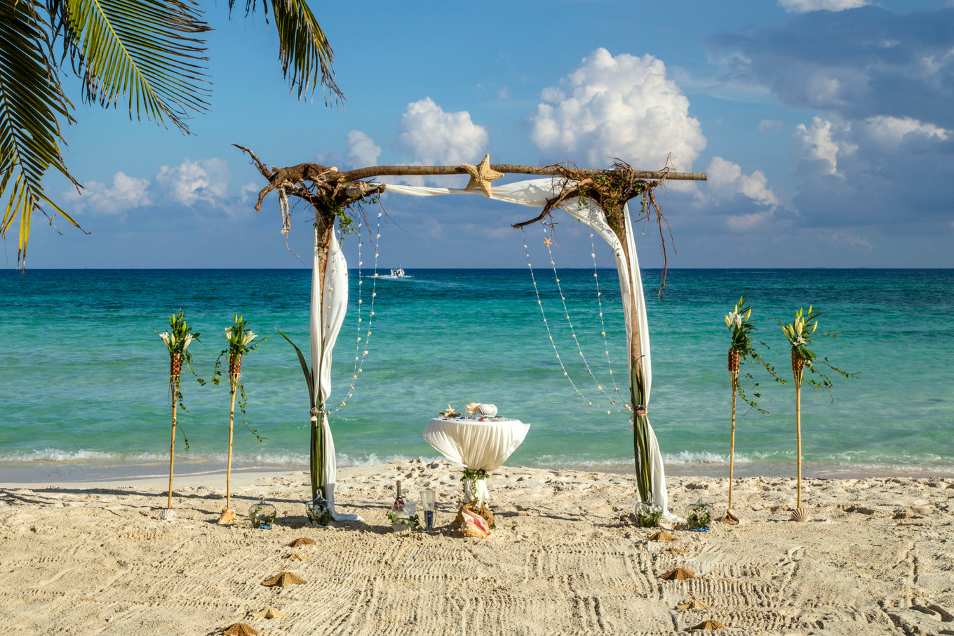 tree roots wedding decor, an Abstract Photo by art.podolski | Creative ...