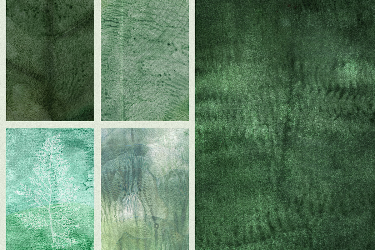 Organic Macro Botanical Textures, a Texture Graphic by Elena Pimonova (Photo 2 of 13)