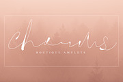 Gamla Stan, a Script Font by Creamy Script (Thumbnail 5 of 5)