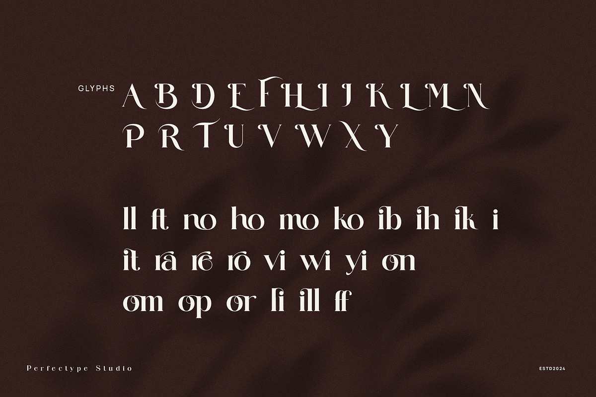 Belina Ramore Elegant Serif, a Serif Font by Perfectype (Photo 9 of 9)
