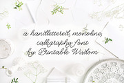 Penelope Larissa Font, a Script Font by Printable Wisdom (Thumbnail 2 of 3)