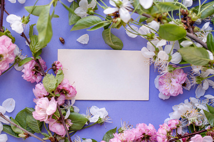 card and  trendy colors Very Peri, an Arts & Entertainment Photo by Arymer