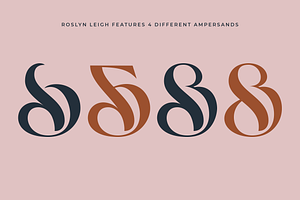 Roslyn Leigh - Display Serif