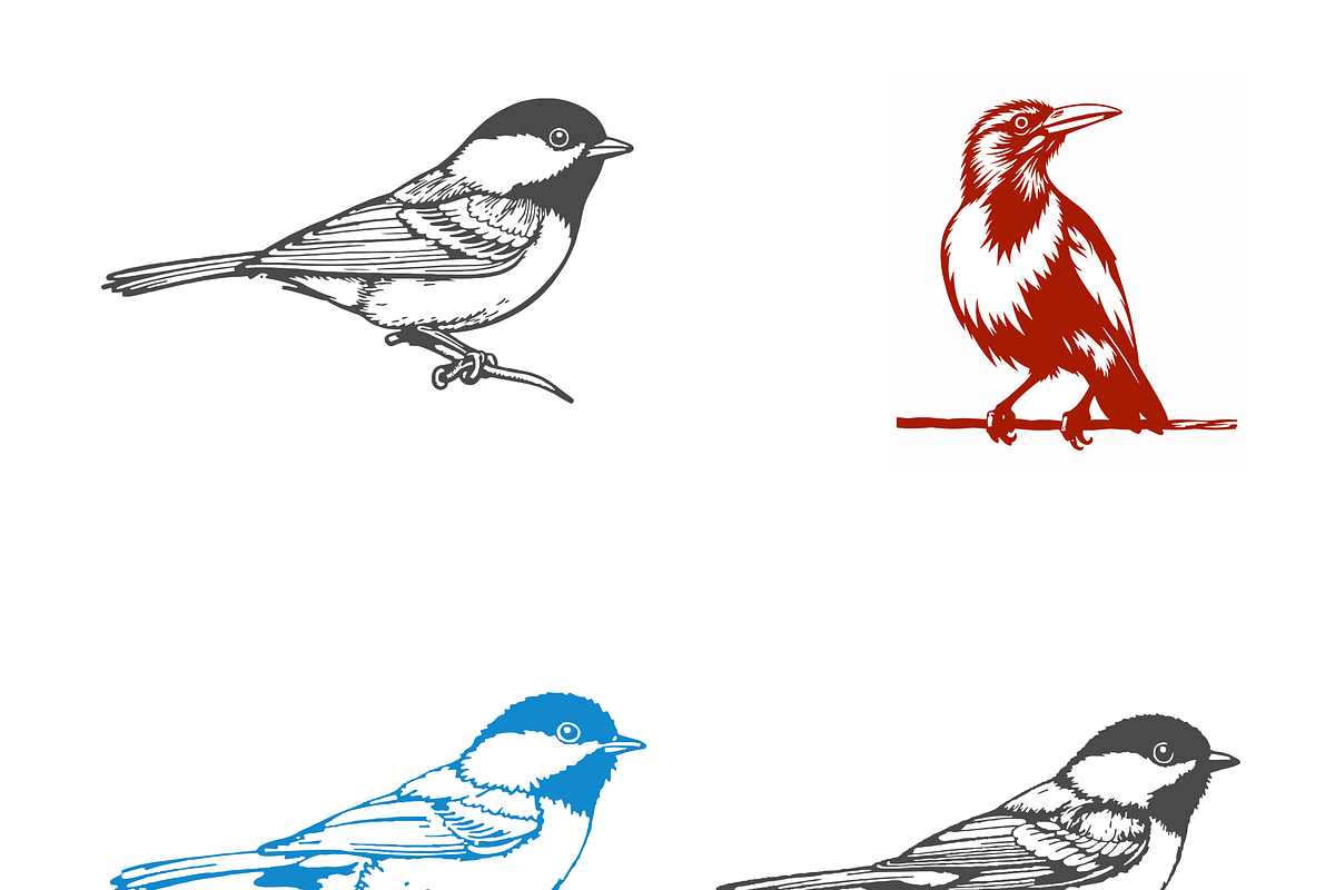 Dynamic Bird Illustrations Set, a Finance Illustration by CarWrap design (Photo 1 of 3)