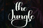 Jungle, a Handwritten Font by InermediaSTUDIO (Thumbnail 7 of 8)