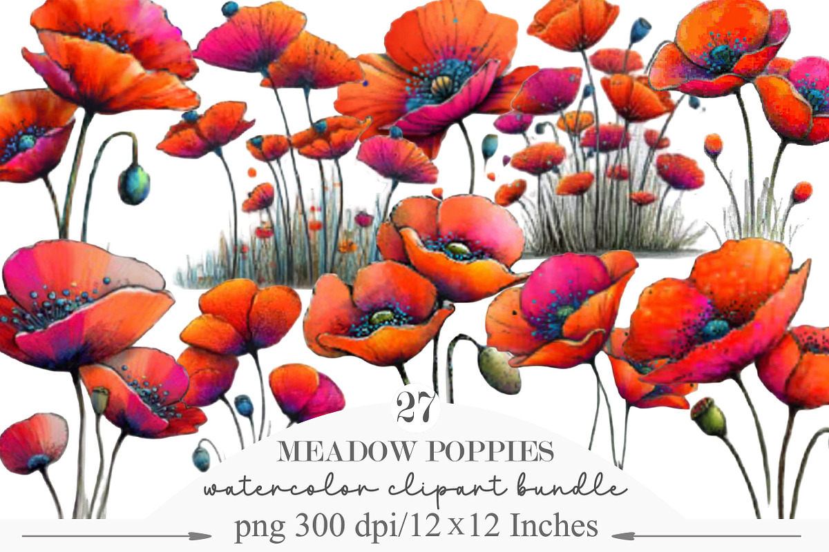 Spring Meadow Poppies Clipart, an Illustration by Designking (Photo 1 of 5)