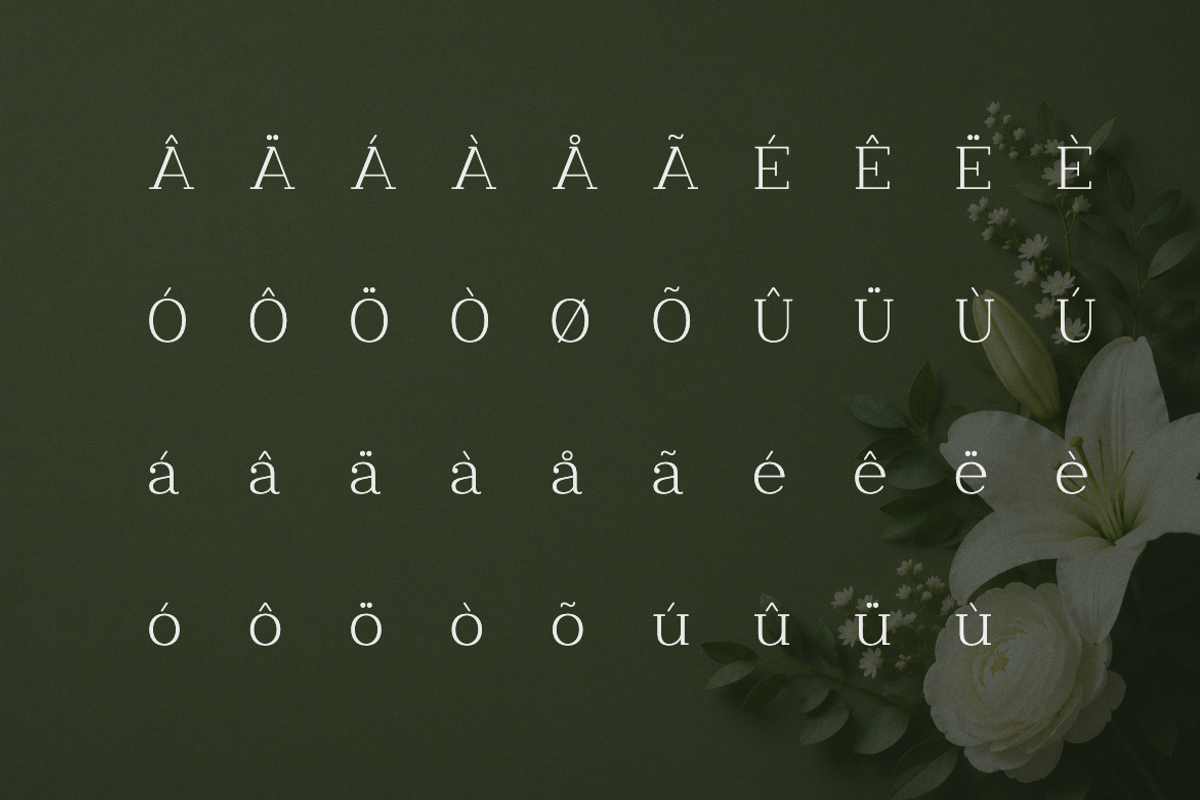 Clayton – Elegant Serif Typeface, a Serif Font by Webhance Studio (Photo 5 of 10)