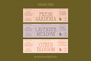 VINTAGE FERN by Natasha Reddy, a Serif Font by Natasha Reddy Studio (Thumbnail 8 of 10)