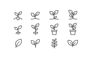 Vector illustration of plant growth, an Object Illustration by ZinetroN
