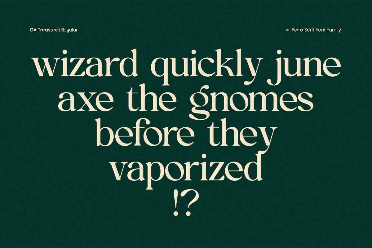 OV Treasure Retro Serif Font Family, a Serif Font by OV Type (Photo 16 of 21)