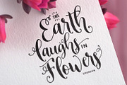 Celebrate Font & Graphics Pack, a Script Font by Callie Rian & Co. (Thumbnail 4 of 14)