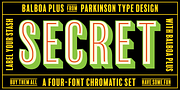 Balboa Plus, a Sans Serif Font by Parkinson Type Design (Thumbnail 8 of 8)