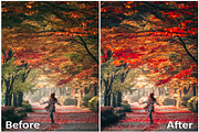 20 Lightroom Presets Autumn part 1, a Preset Add-On by PerfectStudioPresets (Thumbnail 3 of 10)