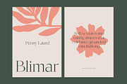 Raslera Modern Serif Display, a Sans Serif Font by timelesstype.co (Thumbnail 11 of 20)