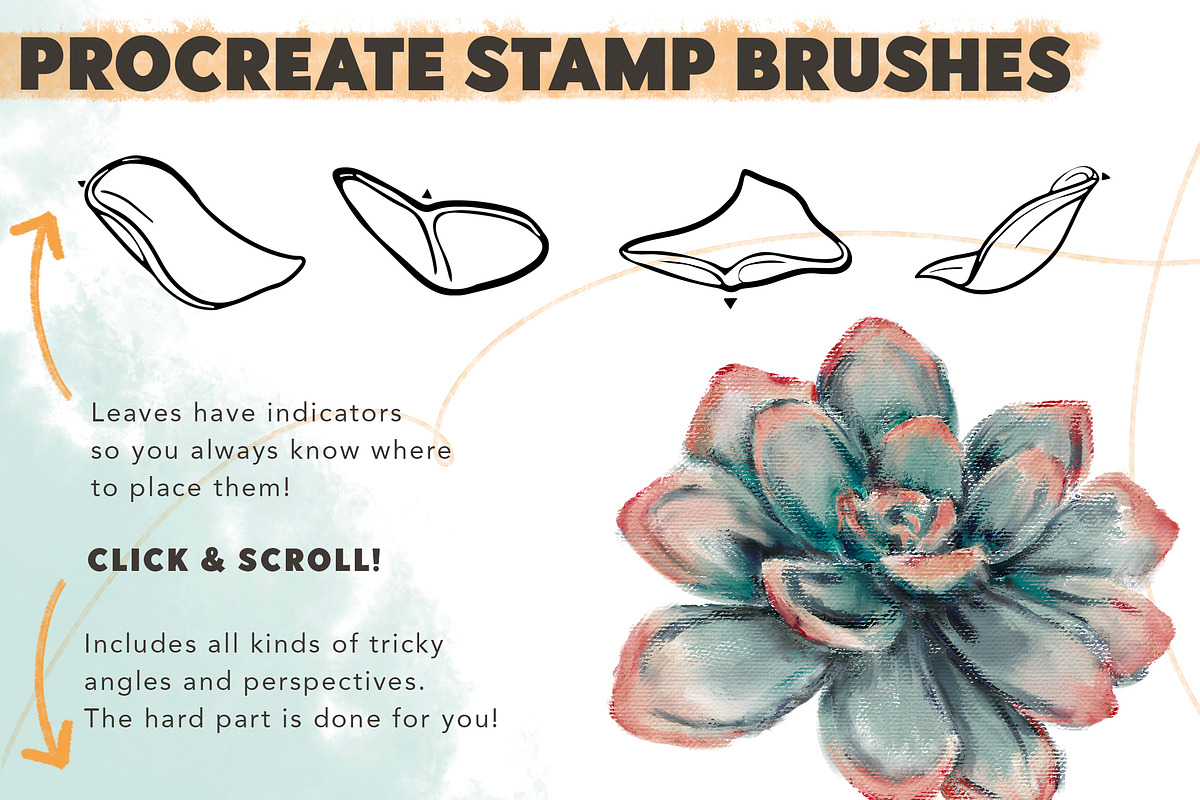 Succulent Builder Procreate Brushkit, a Brush Add-On by Wooly Pronto (Photo 4 of 7)