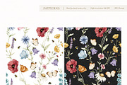 Watercolor Botanical Wildflowers Set, a Decorative Illustration by Carol Lozove (Thumbnail 31 of 36)