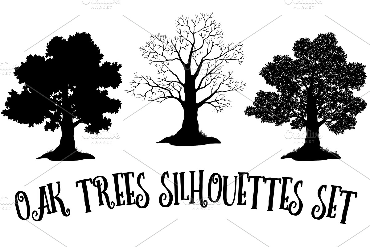 Oak Trees Black Silhouettes, an Object Illustration by Ok-sana