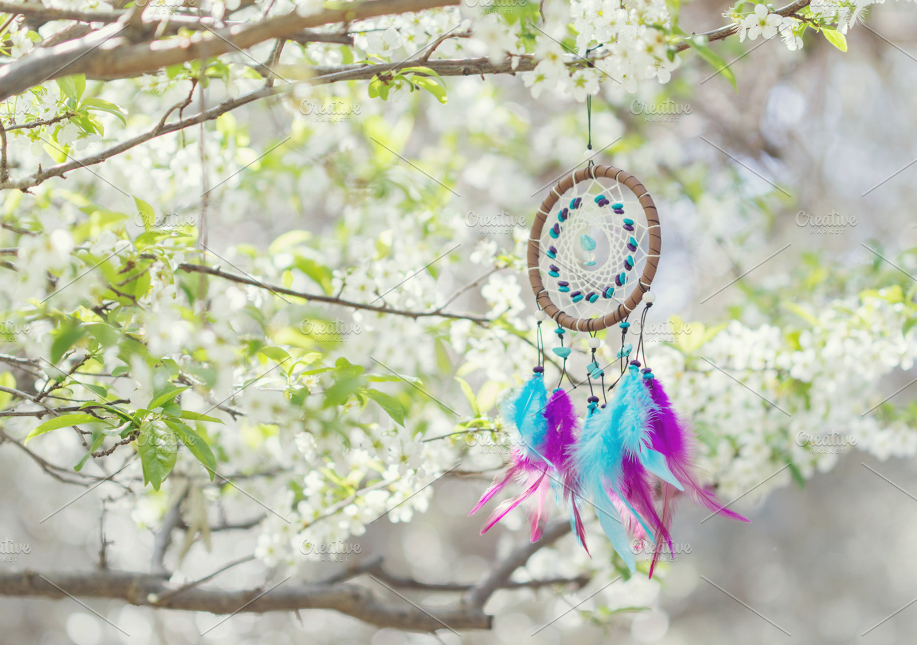Dreamcatcher hanging on tree, a Nature Photo by Maria Dattola Photography