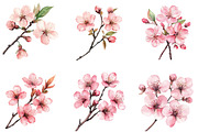 Cherry blossom branch Clipart, a Seasonal Illustration by Designking (Thumbnail 5 of 5)