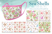 Watercolor Sea Shells Illustrations, a Work Illustration by TanataDesign (Thumbnail 5 of 10)