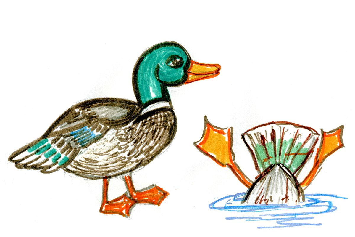 Whimsical Ducks Clipart, an Illustration by Willy Nilly Studio (Photo 3 of 3)