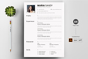 CV / Resume Template, a Resume Template by ARP Creation (Thumbnail 1 of 9)