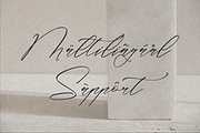 Classthy Theriond Chic Calligraphy, a Script Font by Storytype Studio (Thumbnail 12 of 15)