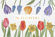 Spring Wildflowers, an Illustration by Elisa Ursa (Thumbnail 2 of 7)