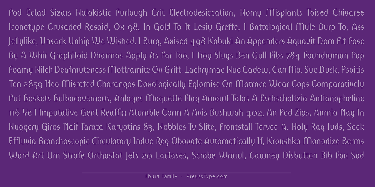 Ebura PRO, a Sans Serif Font by preussTYPE (Photo 8 of 10)